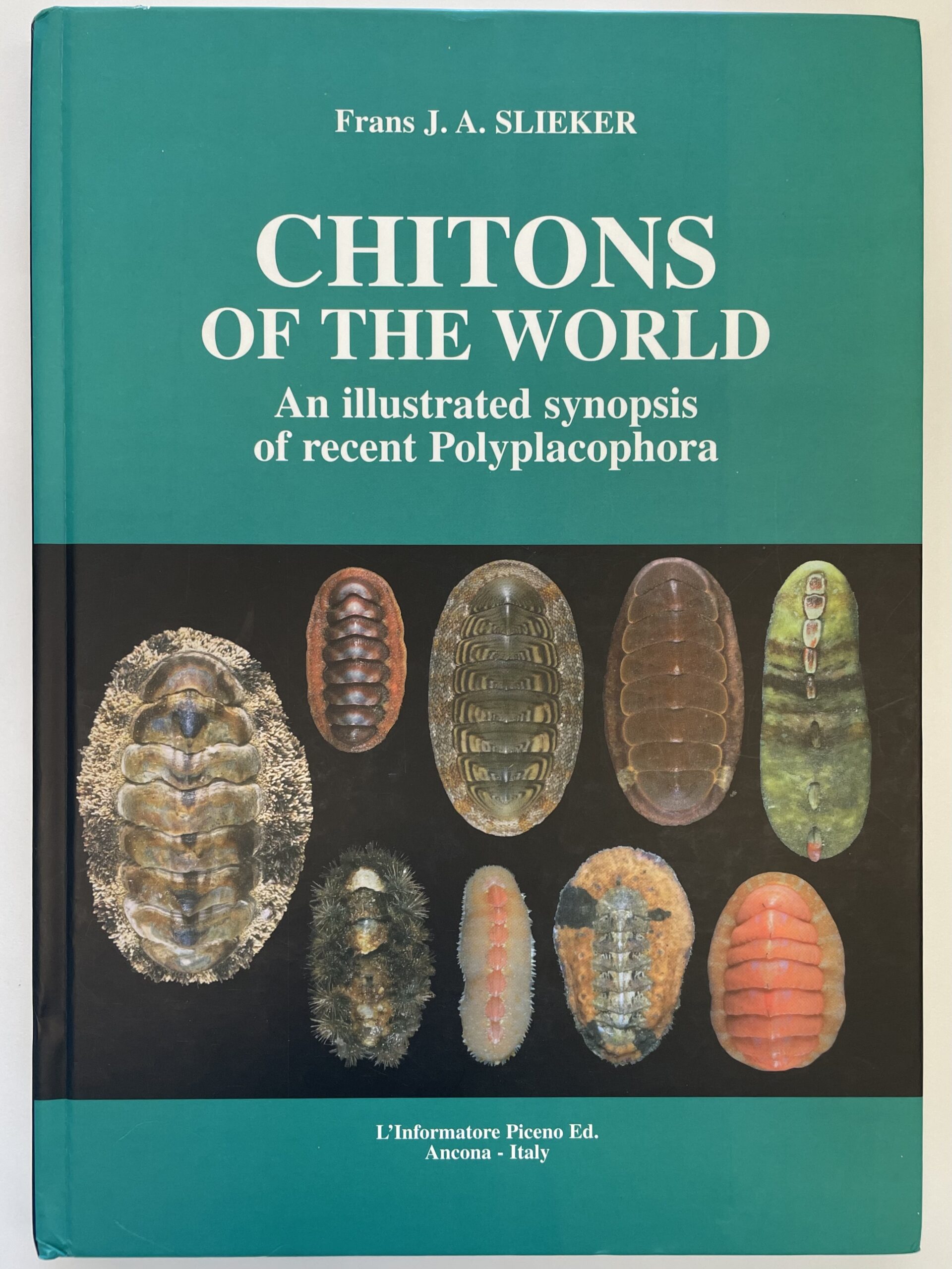 Chiton Book 3